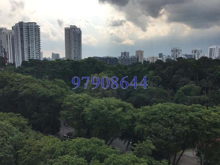 The Scotts Tower (D9), Condominium #147718722